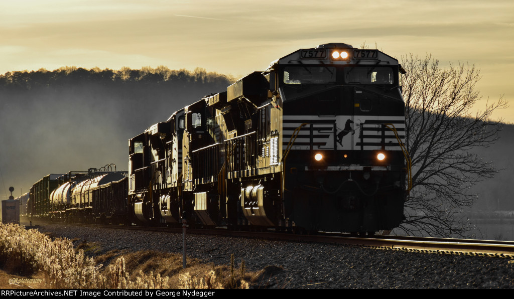 NS 7577